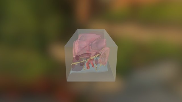 Modelo completo en Cubo 3D Model