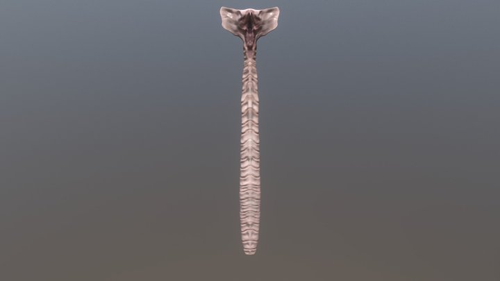 Hammerpede 3D Model