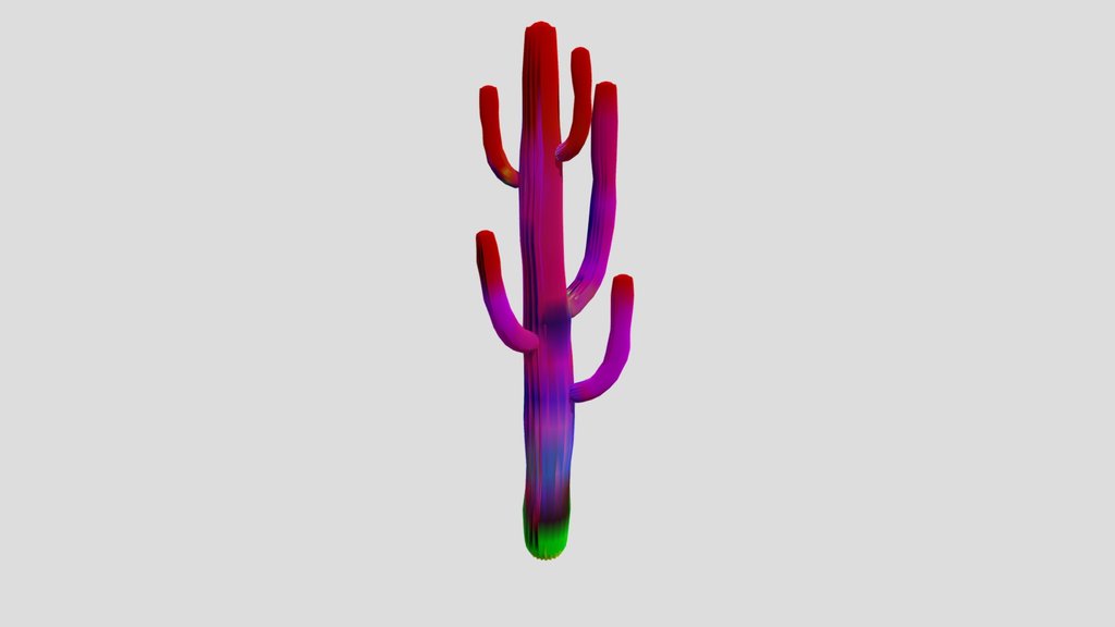 Plant Cactus Saguaro Dry Large