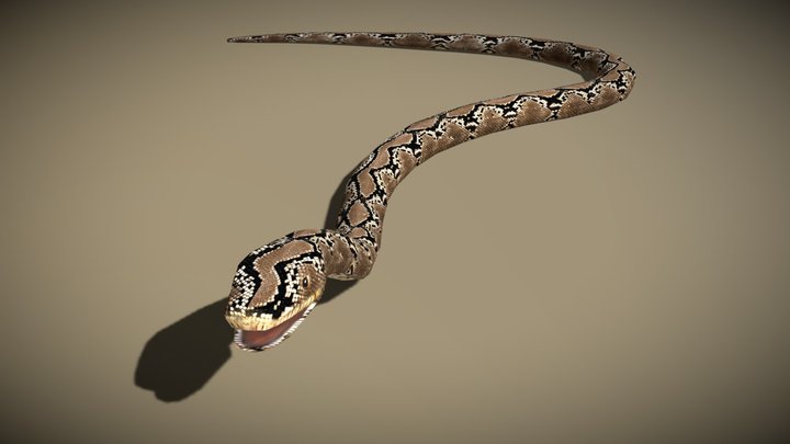 3DRT - birds and critters - snake 3D Model