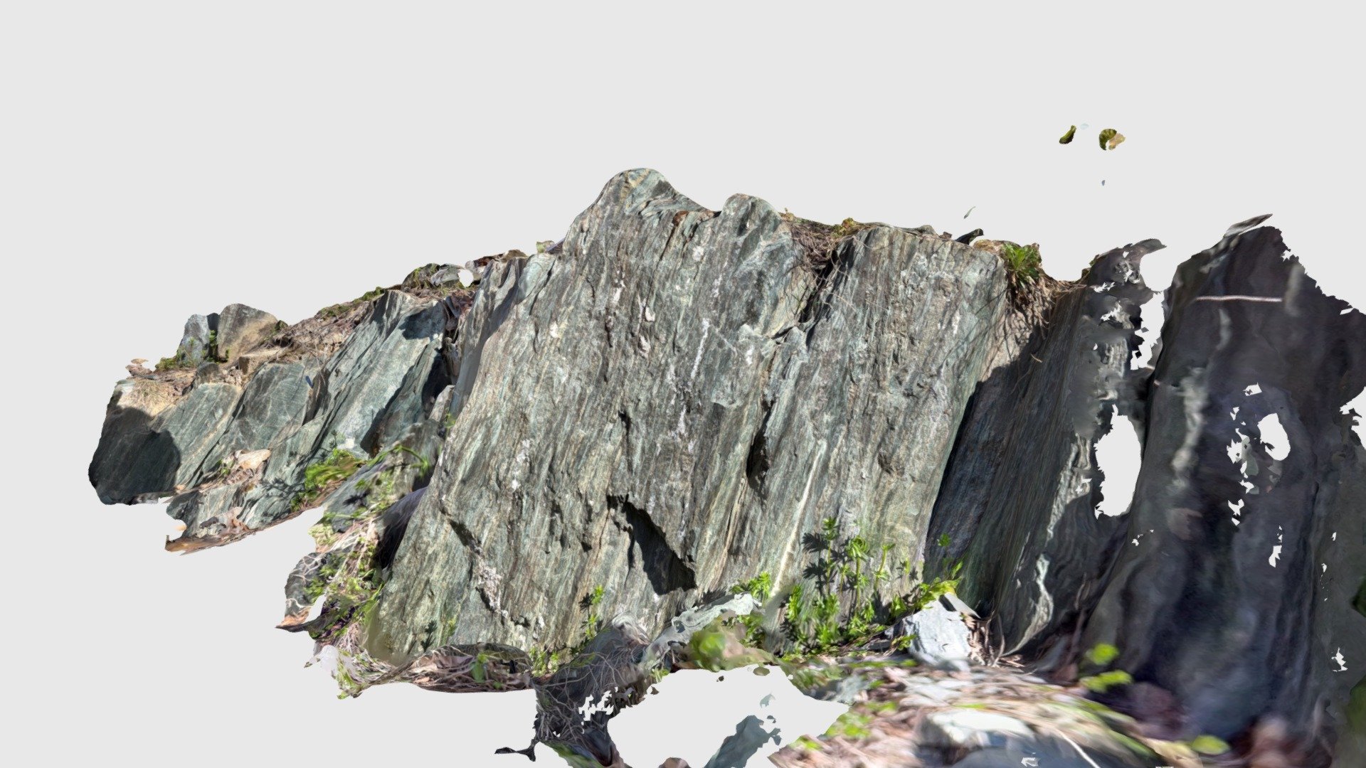 stop 180-1 day 2,  greenschist