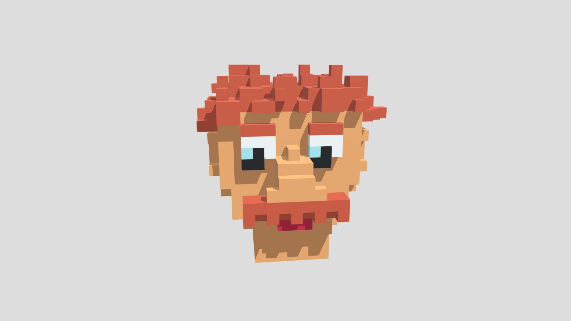 Voxel Face