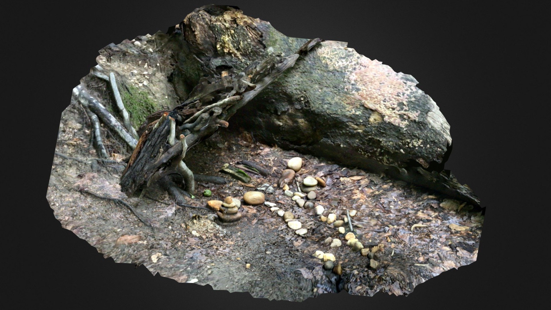 Sticks and rocks