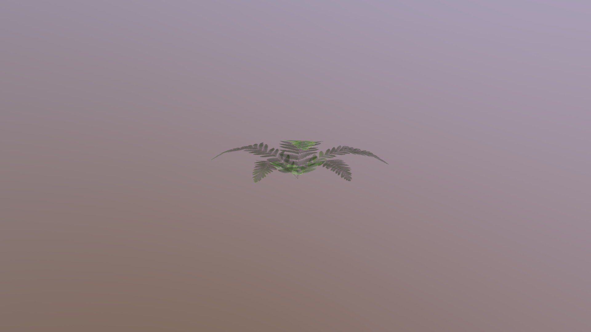 Fern Eport 1