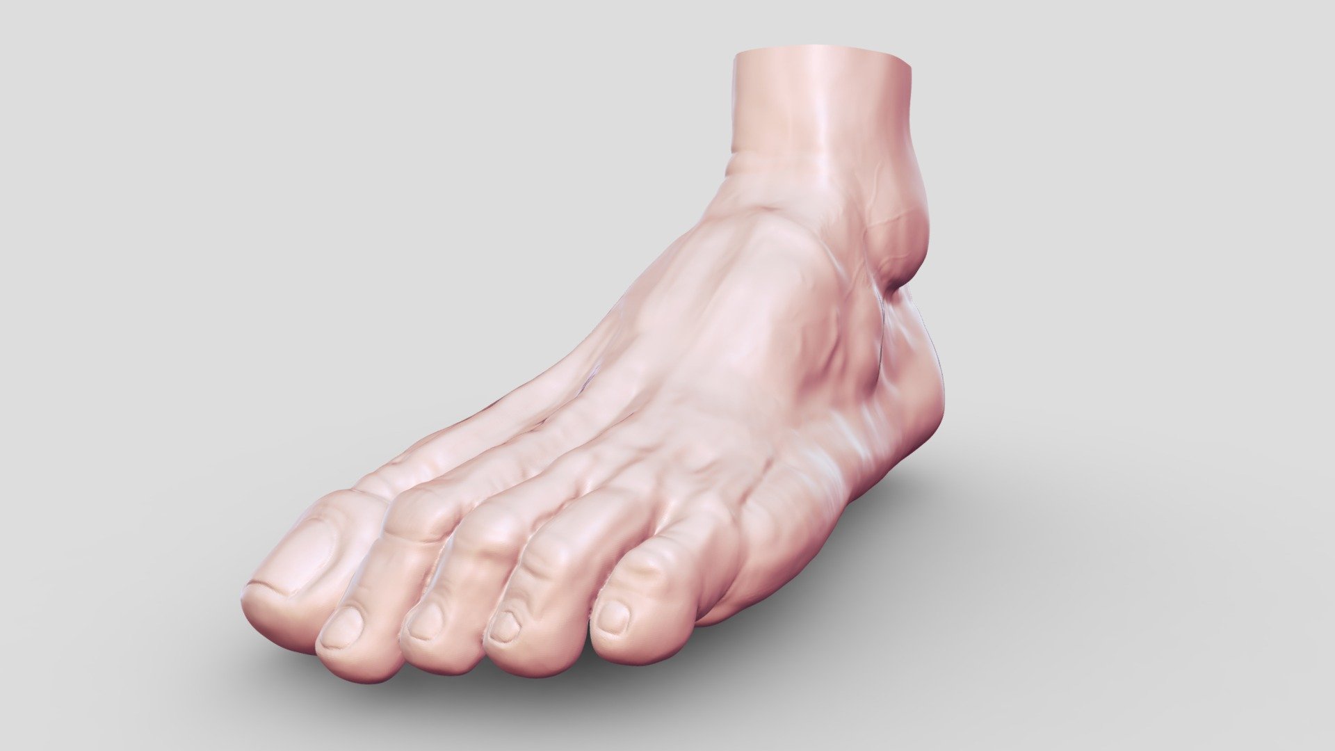 Ступня мужская - 3D model by ZOG (@gygl.13) [726e228] - Sketchfab