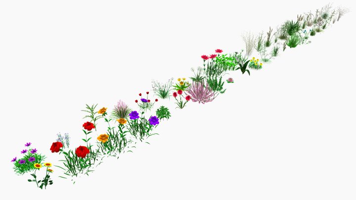 Floras Collection / Package / High Quality 3D Model