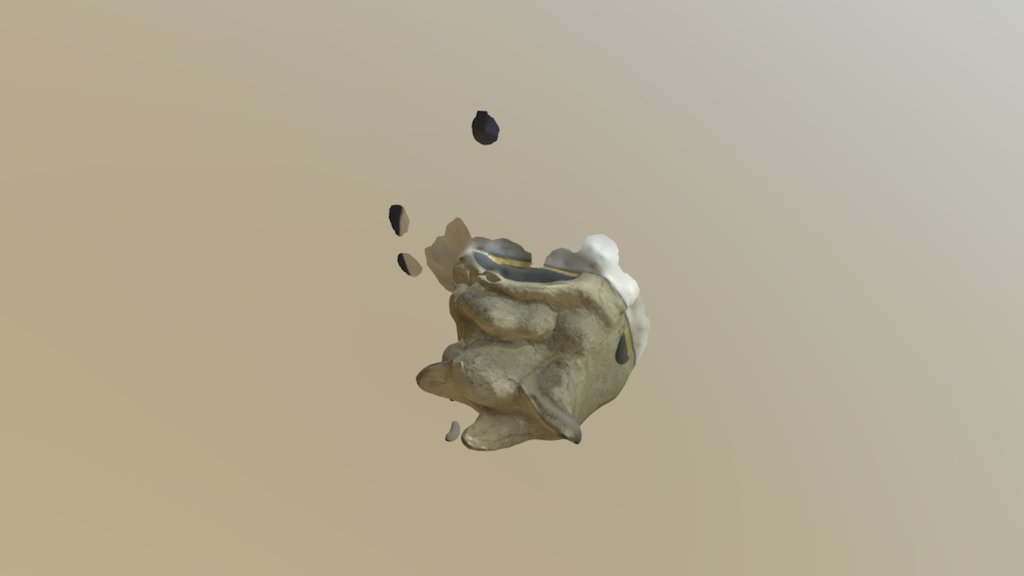 lionhead 4