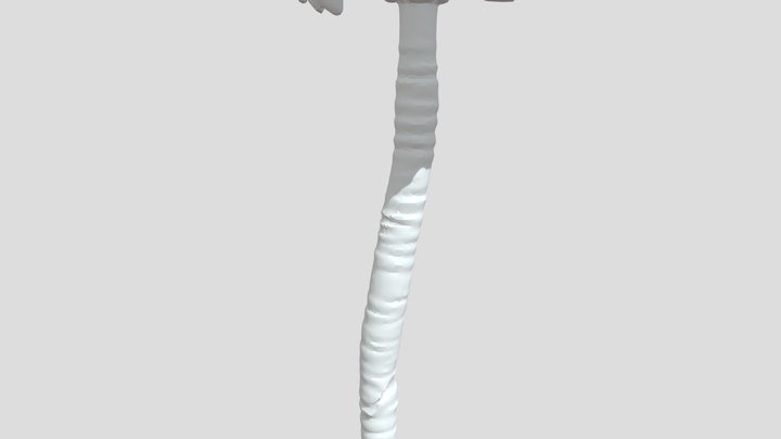 Palm TREE 3D Model