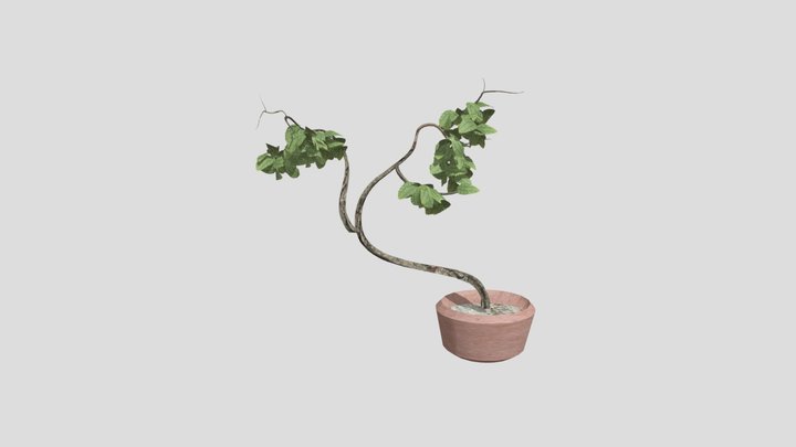 pot plant 3D Model