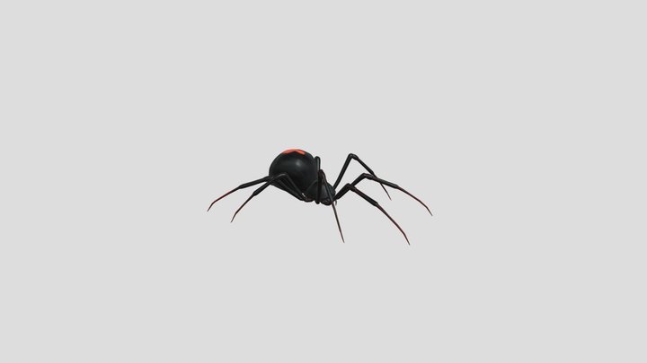 Spider 3D Model