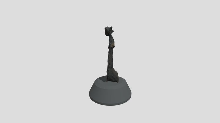 Acollidora 3D Model