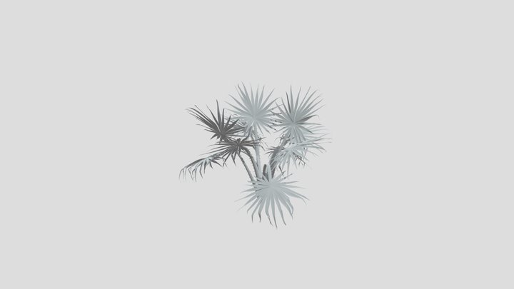 Caraday Palm Sapling Var – Modèle 3D gratuit STL