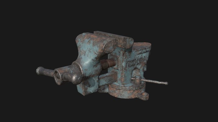 Old Wise 3D Model