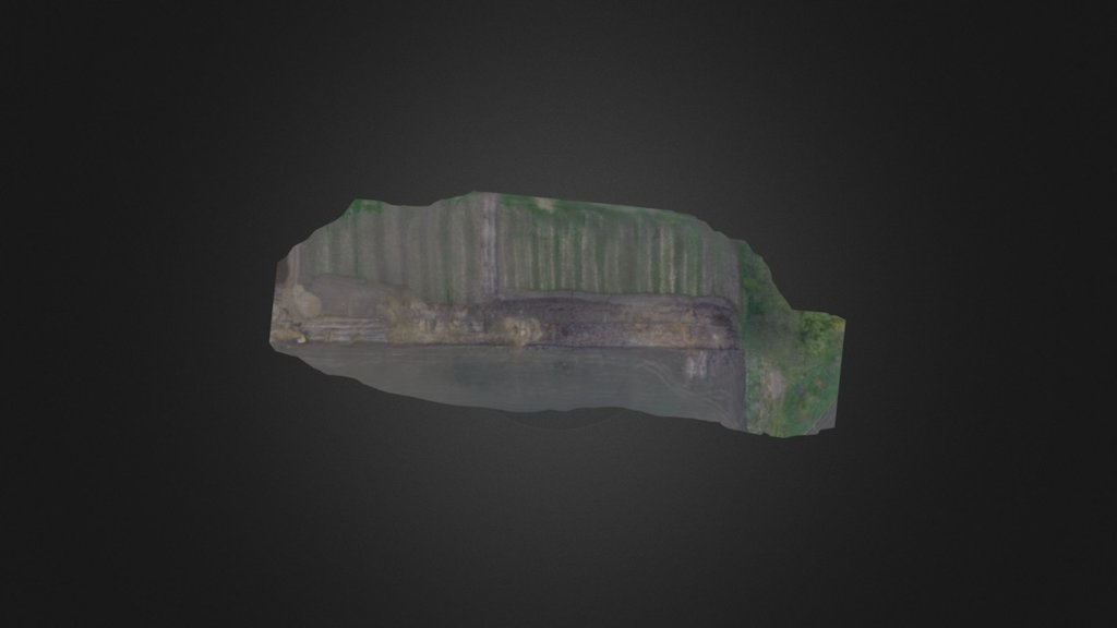 Iron Age settlement