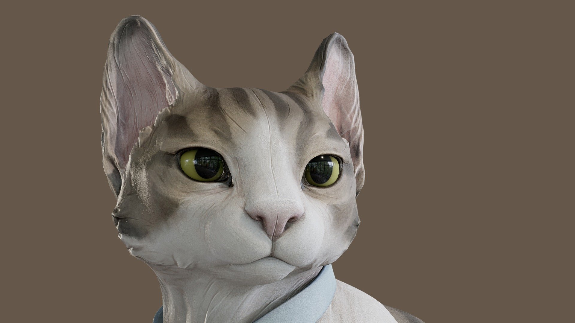 Cat 3d Model By Abazibiz [72802b9] Sketchfab