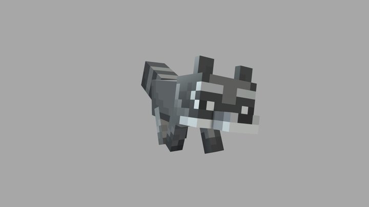 raccon 3D Model