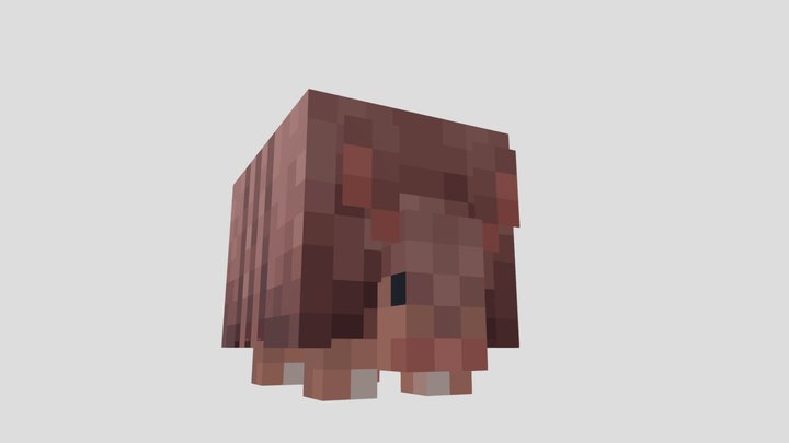 Armadillo 2.0 3D Model