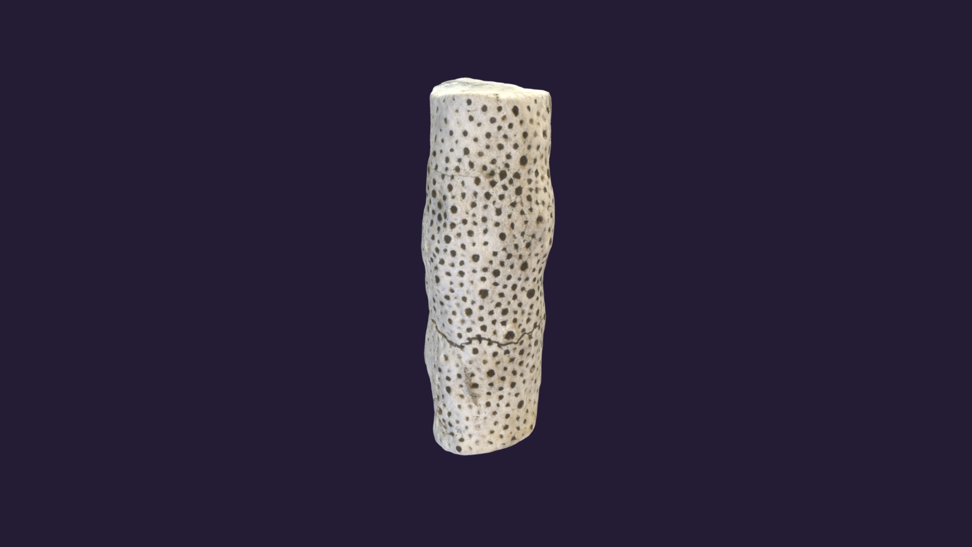 3D model Chaetetes attrilus - This is a 3D model of the Chaetetes attrilus. The 3D model is about a cylindrical object with a black background.