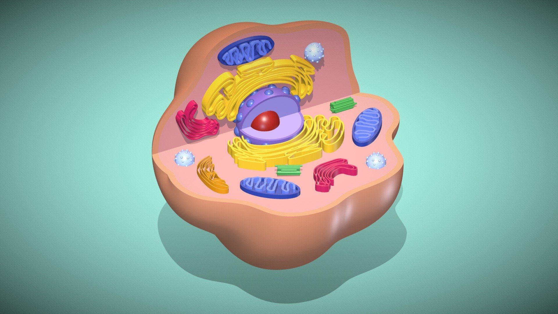 Cellula v9 - Download Free 3D model by valerios.yt [72871f6] - Sketchfab