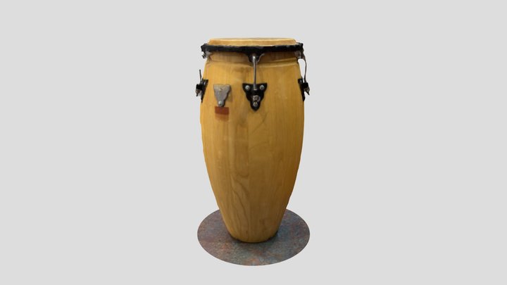 Bongo 3D Model