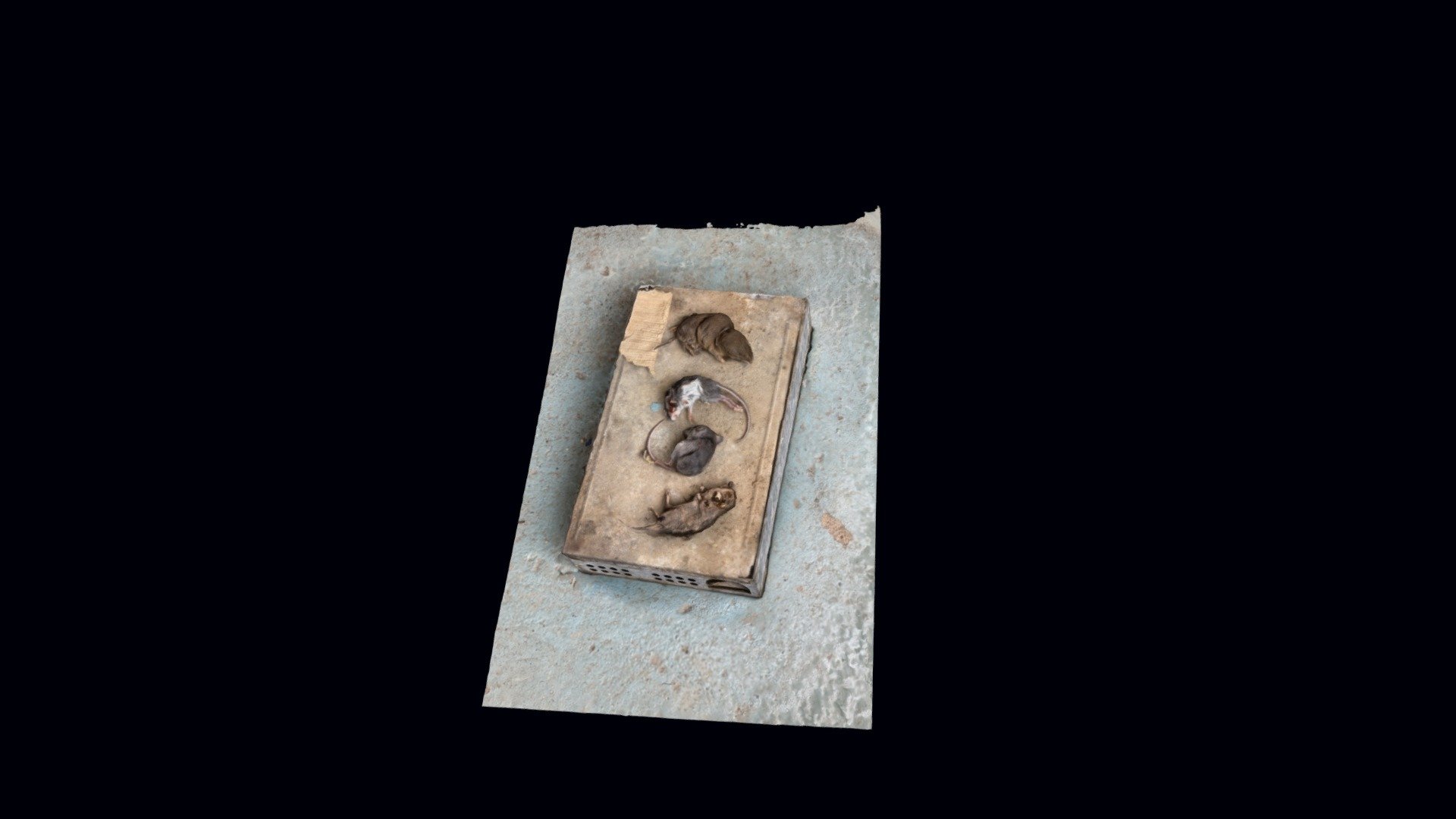 Expired Rodents