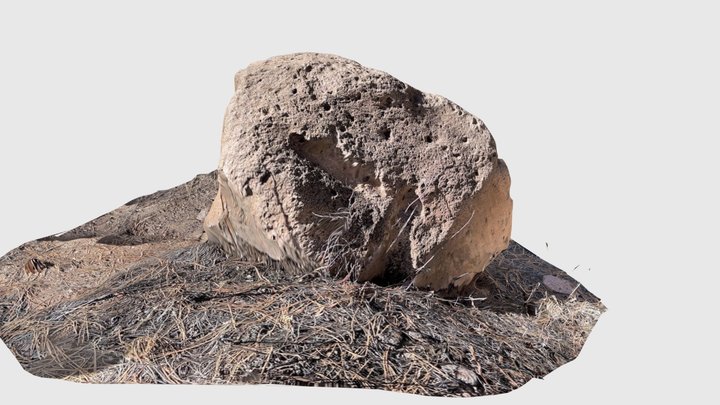 Small boulder - Santa Clara Pueblo, NM 3D Model