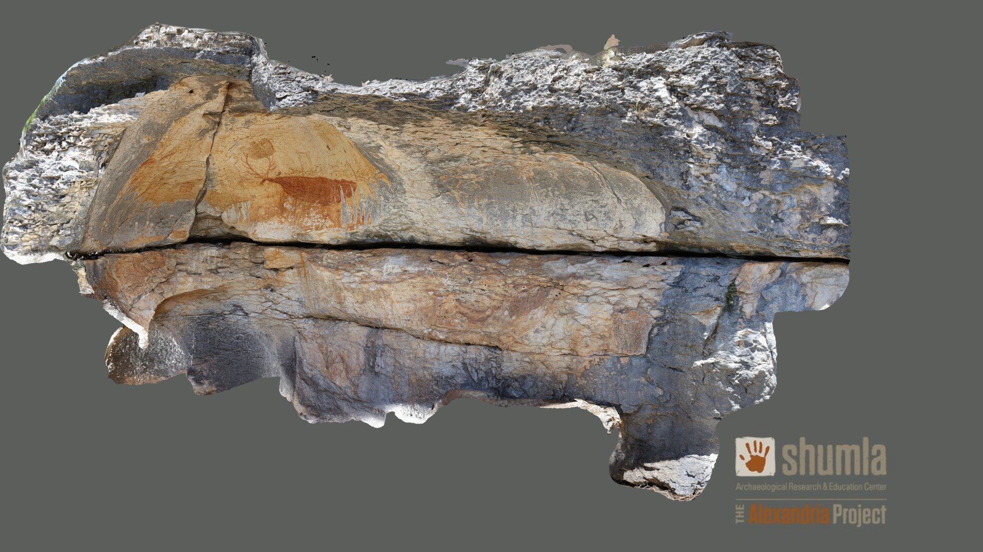 41VV1130 - Red Elk - Panel 1 - 3D model by Shumla Archaeological ...