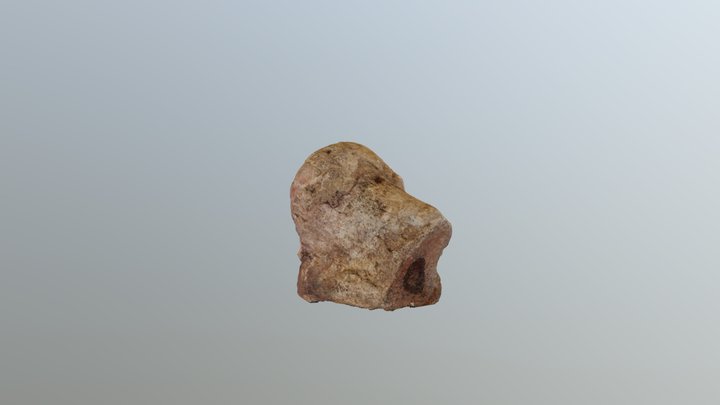 Museo de Ciencias - Cabeza de Fémur de Megaterio 3D Model