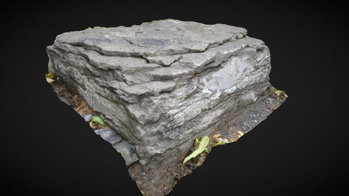 Eroded rock N 01 photogrammetry 3d model 3D Model