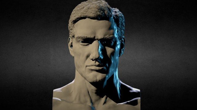 Robust man's head 3D Model