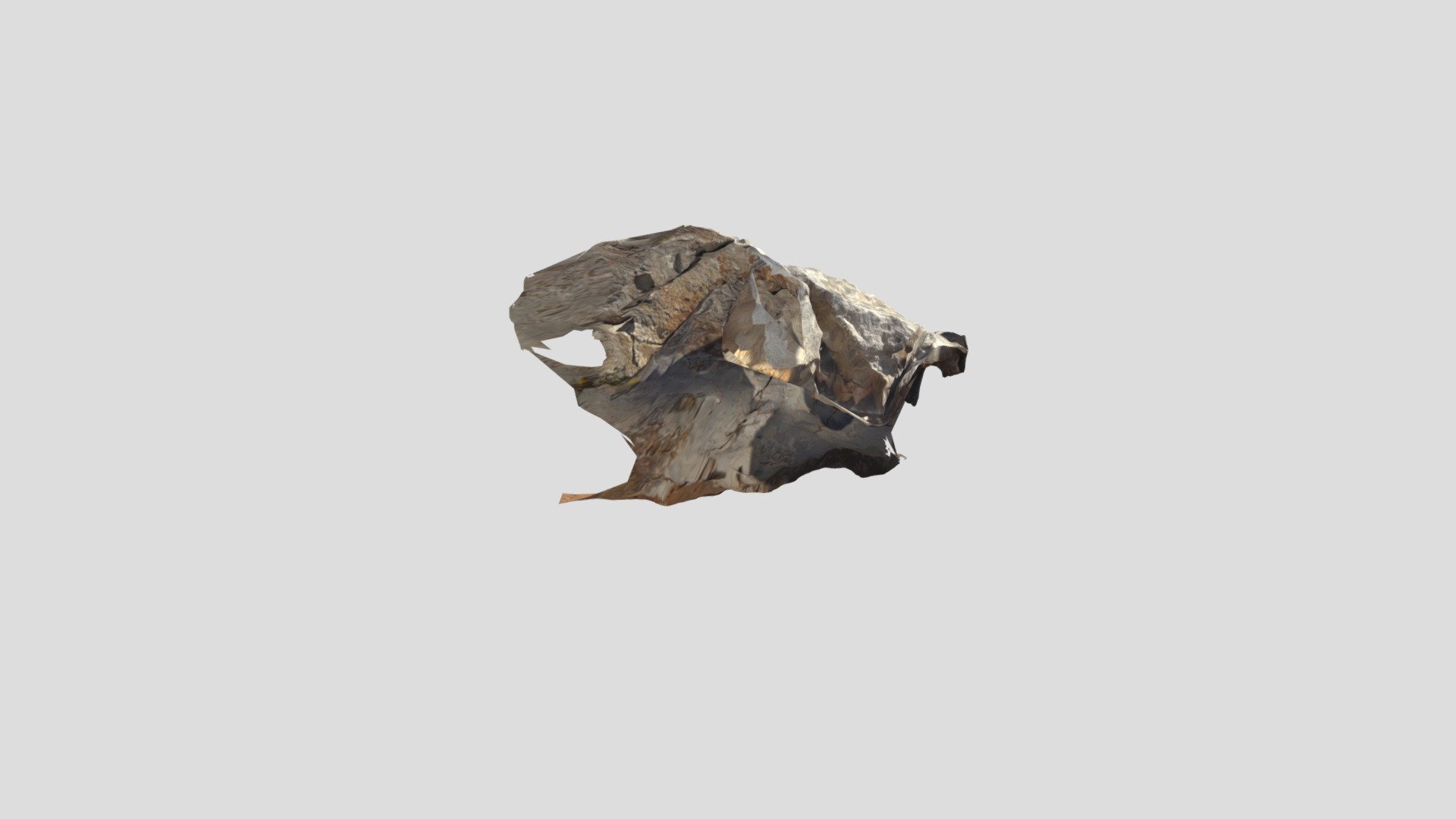 Loc+11+Rudist+corals - 3D model by z625750352 [72976c4] - Sketchfab