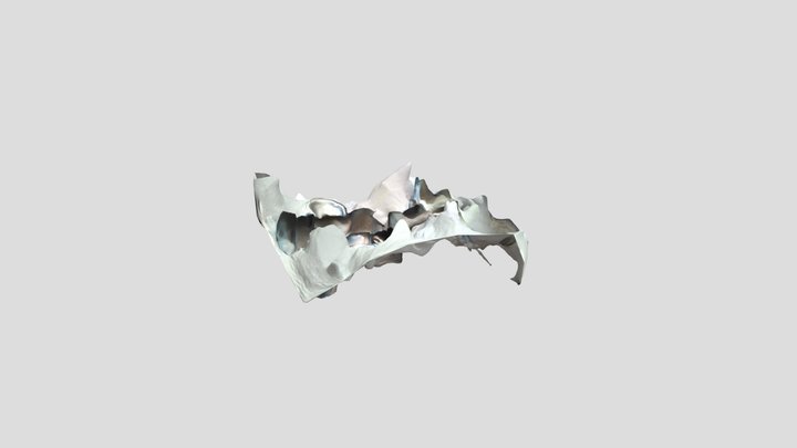 eminem nft monke 3D Model