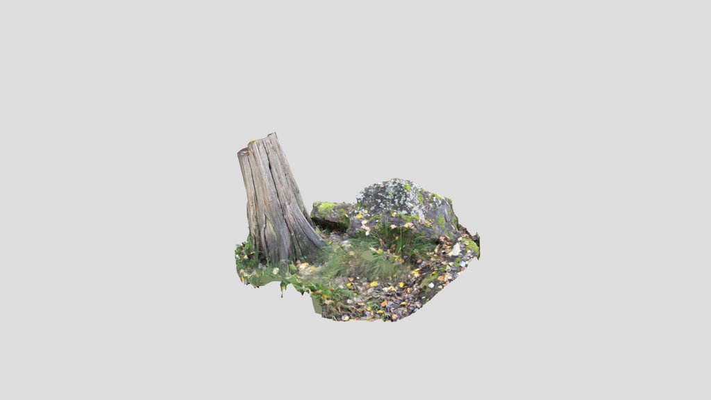 Newlands Stump