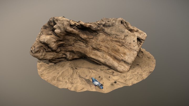 Large driftwood - Low poly - v2 3D Model