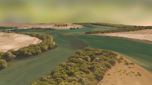 Kalba Mangroves Aerial Survey 3D Model