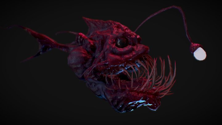 Angler Fish 3D Model