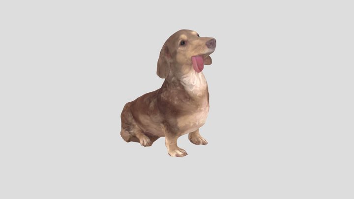 2024-06-05-Doggy1-612-Color-H33cm-OK 3D Model