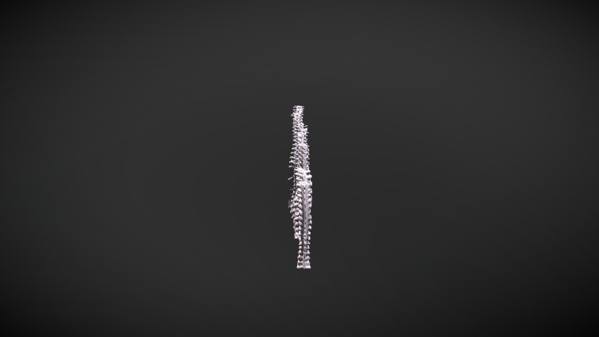 Female Spines — Sketchfab embed 3D viewer