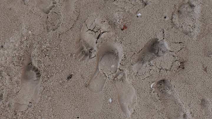 Footprints on the beach (test scan) – Modello 3D gratuito STL