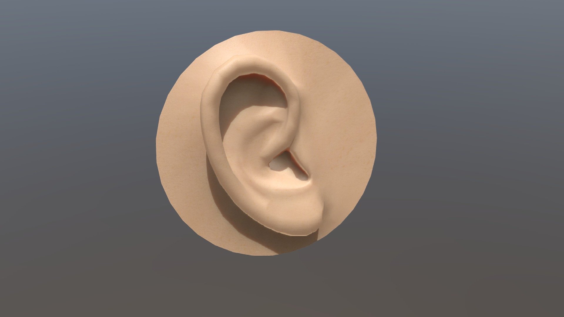 Ear - 3D model by Gustavs (@gusis) [72a7e25] - Sketchfab