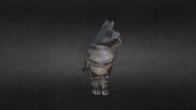 Cat 3D Model