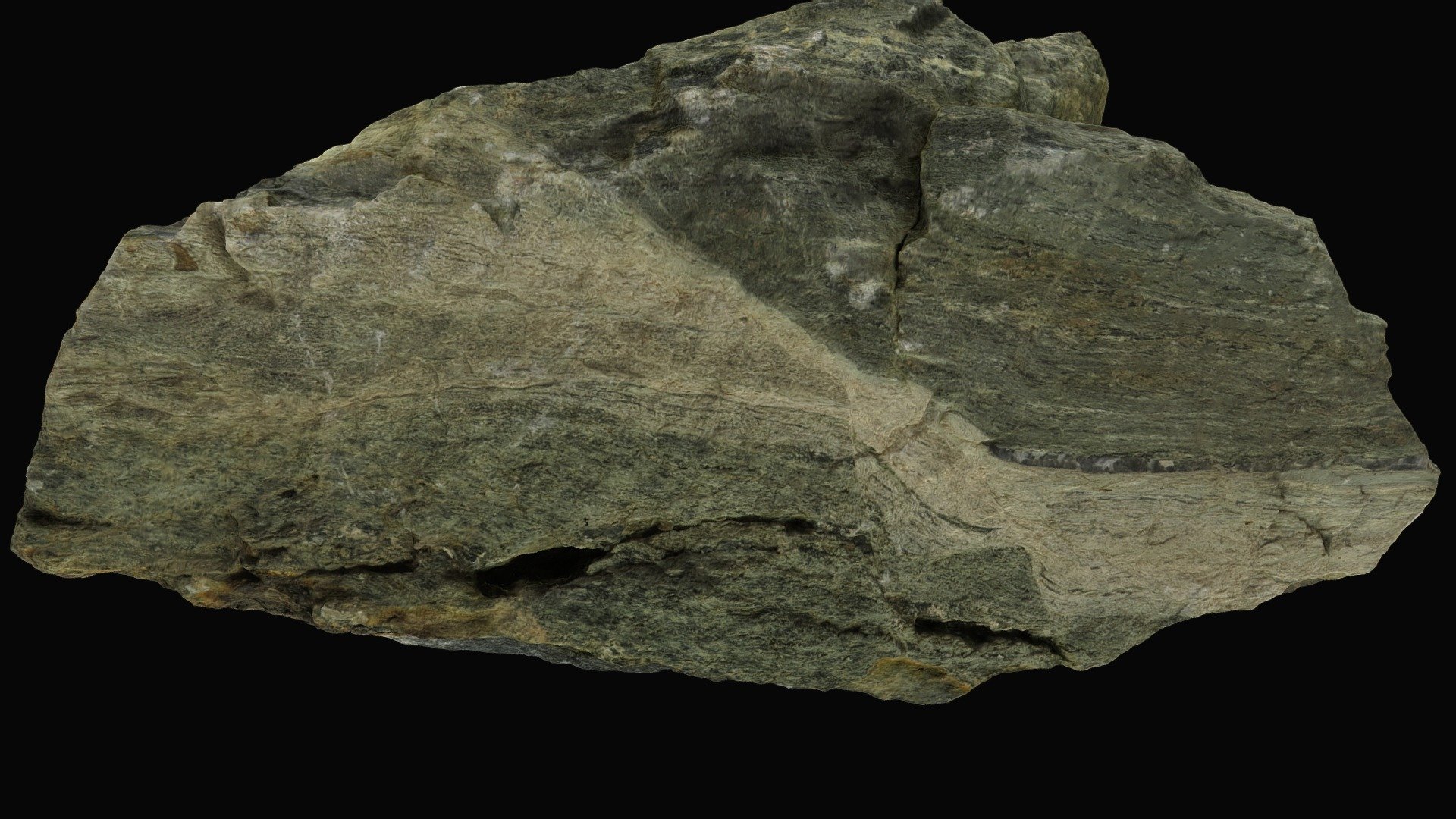 Mylonitic gneiss with pseudotachylite