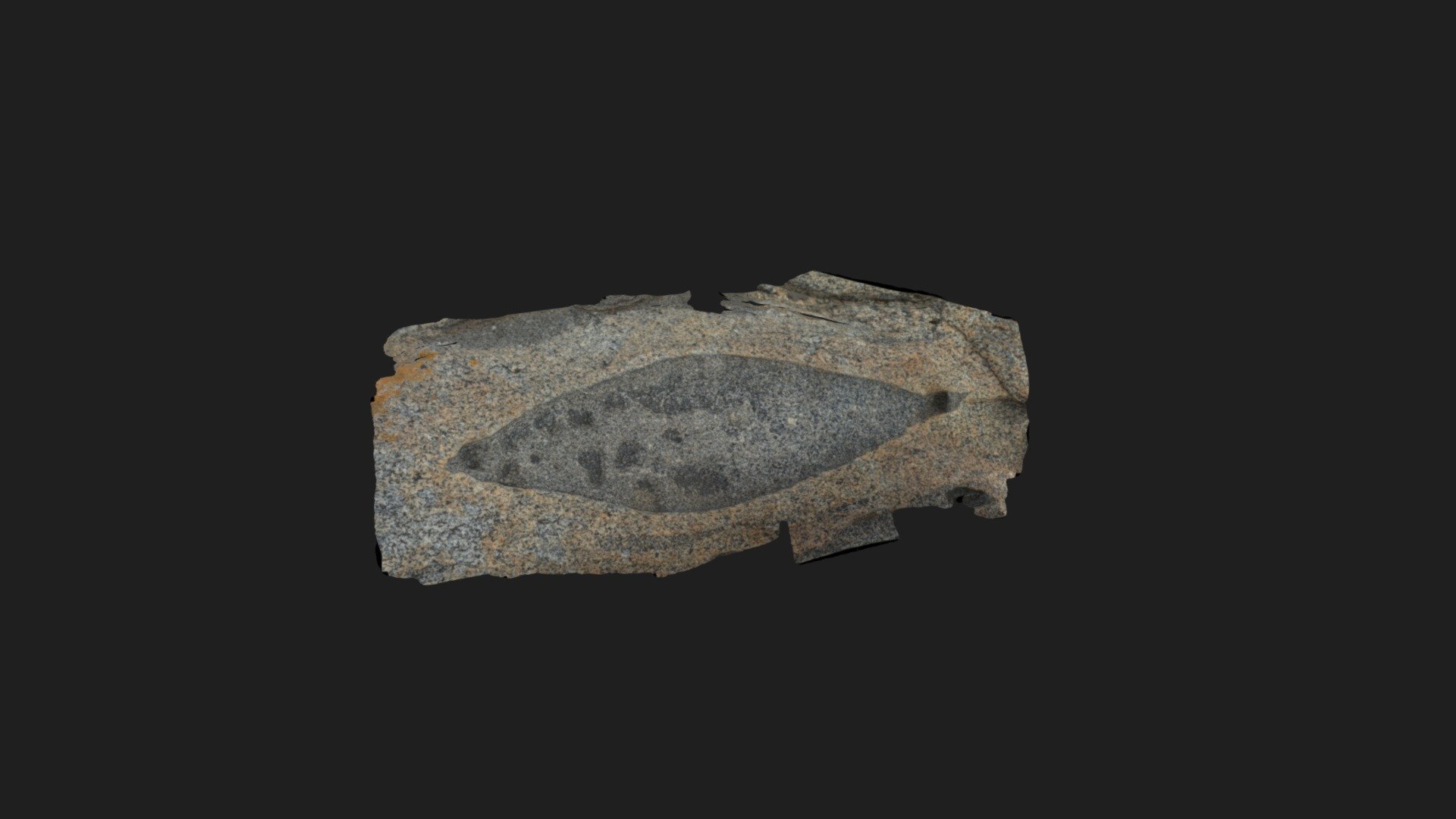 Xenolith
