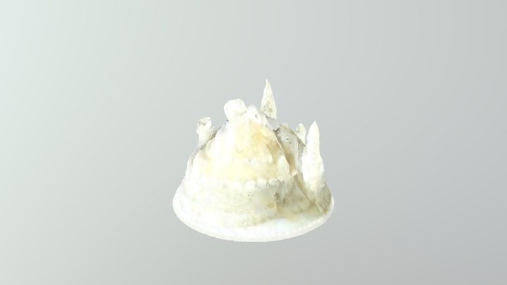 Castle with New Qlone Scanner 3D Model