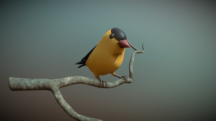 GoldFinch 3D Model