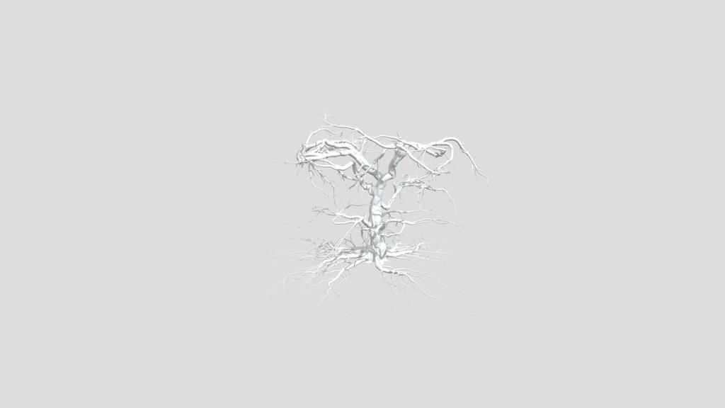 Sj Tree Skeleton Without Foliage