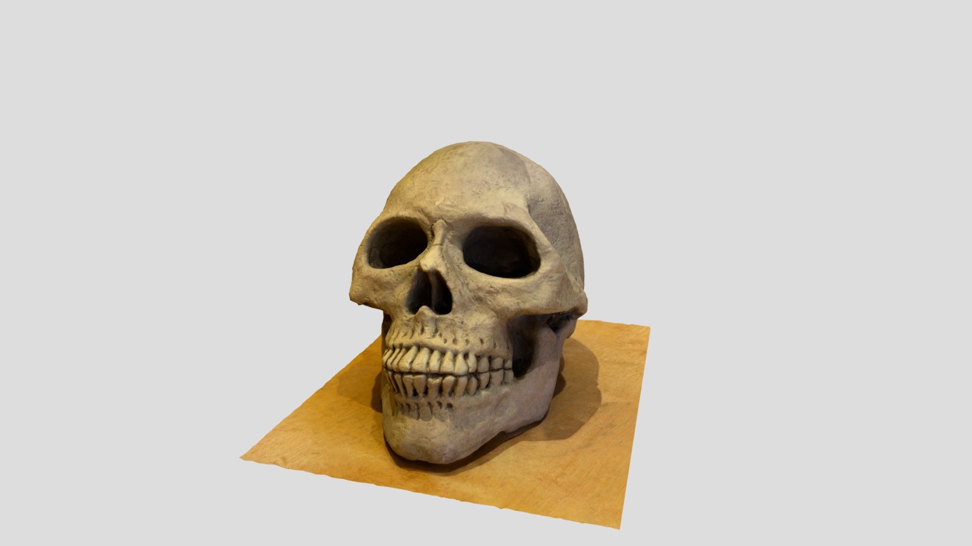 Skeleton piggy bank
