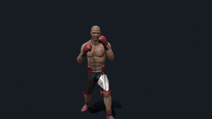 Boxer_Portfolio5 3D Model