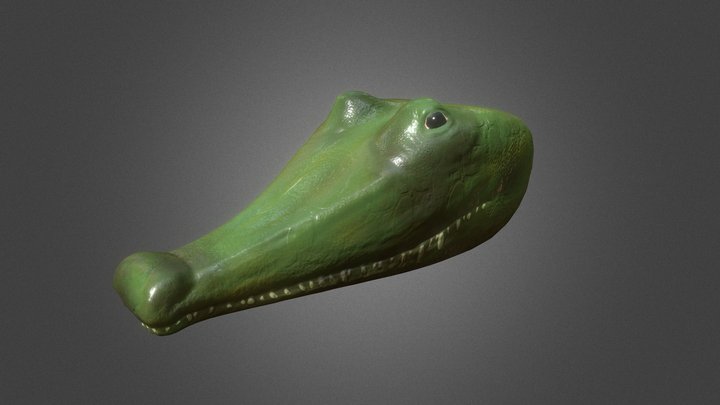Crocodile Head Sculpt Practice 3D Model