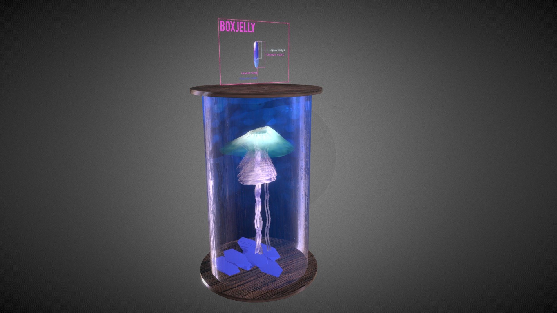 Box Jellyfish Nematocysts Structure Buy Royalty Free 3D model by
